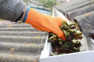Clear out Gutters